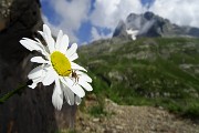 Ai rifugi e laghi del Barbellino…spettacolo assicurato ! L’8 luglio 2015 - FOTOGALLERY